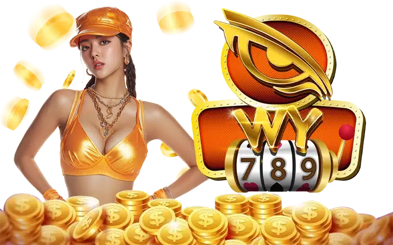WY789 (3) WY789 (3)