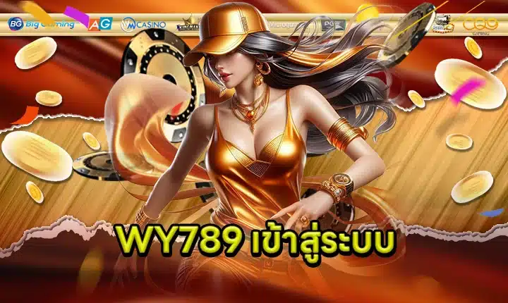 WY789 Log in feature image